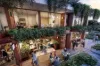 Chatswood Grand Residences