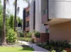 Dwell Bondi