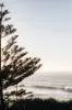 854 Hunter Street, Newcastle West NSW 2302