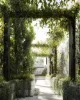 Luce
