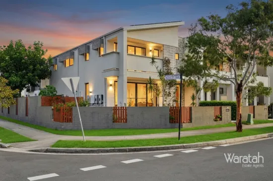 Park front house + studio in Fairwater estate