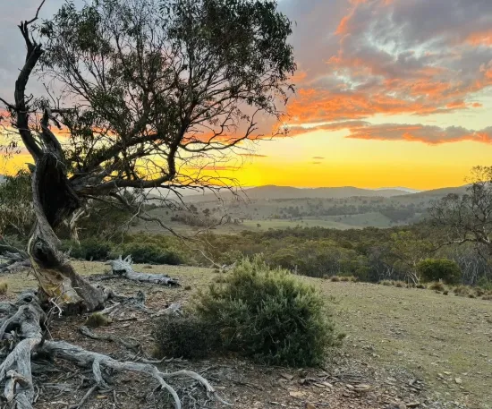 Escape to the Serenity of the Snowy Monaro Countryside