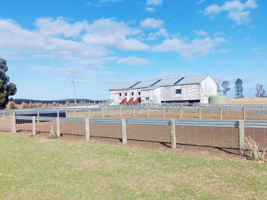 Ray White Rural WA - Real Estate Agency