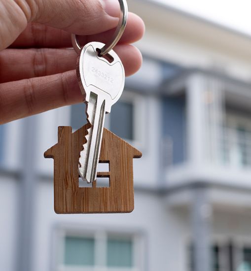 Marsden Real Estate - CAMELLIA - Real Estate Agency