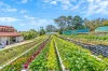 1-15 Mccallums Road, Berrilee, NSW 2159-Image