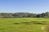 1/291 Mornington Tyabb Road, Mornington, Vic 3931-Image