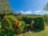 1-3 Licence Street, Goldsborough, Qld 4865-Image