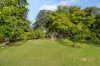 1/438 Terrigal Drive, Terrigal, NSW 2260-Image