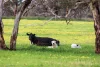 1 Baum Road, Waitpinga, SA 5211-Image