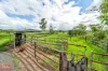 1 Cartwright Road, Eubenangee, Qld 4860-Image