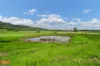 1 Cartwright Road, Eubenangee, Qld 4860-Image