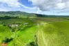 1 Cartwright Road, Eubenangee, Qld 4860-Image
