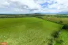 1 Cartwright Road, Eubenangee, Qld 4860-Image