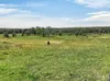 1 Coral Lane, Coralville, NSW 2443-Image