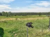 1 Coral Lane, Coralville, NSW 2443-Image