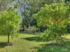 1 Coral Lane, Coralville, NSW 2443-Image