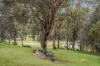1 Corella Place, Cattai, NSW 2756-Image