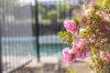 1 Johnson Avenue, Kenthurst, NSW 2156-Image