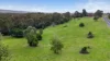 1 Mcmahons Road, Kurrajong, NSW 2758-Image