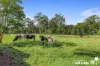1 Morilla Place, Beechwood, NSW 2446-Image