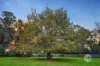 1 Soderlund Place, Somerville, Vic 3912-Image
