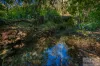 10/1057 Cawongla Road, Larnook, NSW 2480-Image