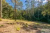 10/1057 Cawongla Road, Larnook, NSW 2480-Image