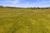 10-12 Florance Street, Cootamundra, NSW 2590-Image