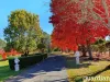 10 Arrunga Road, Arcadia, NSW 2159-Image
