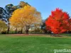 10 Arrunga Road, Arcadia, NSW 2159-Image