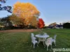 10 Arrunga Road, Arcadia, NSW 2159-Image