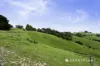 10 Baker Road, Krowera, Vic 3945-Image