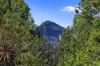 10 Fantail Crescent, Cooroy, Qld 4563-Image