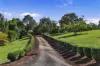 10 Fantail Crescent, Cooroy, Qld 4563-Image