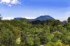 10 Fantail Crescent, Cooroy, Qld 4563-Image