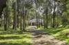 10 Kevian Park Drive, Wallington, Vic 3222-Image