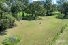 10 Mansfield Road, Galston, NSW 2159-Image