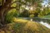 10 Wombat Place, Ninderry, Qld 4561-Image
