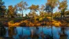100-110 Bushnells Road, Nanango, Qld 4615-Image