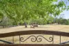 100 Bittern-Dromana Road, Balnarring, Vic 3926-Image