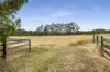 100 Bittern-Dromana Road, Balnarring, Vic 3926-Image