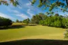 100 Colonel Pye Drive, Cobbitty, NSW 2570-Image