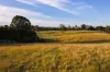 100 Colonel Pye Drive, Cobbitty, NSW 2570-Image