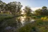 100 Colonel Pye Drive, Cobbitty, NSW 2570-Image
