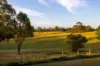 100 Colonel Pye Drive, Cobbitty, NSW 2570-Image