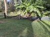 100 Park Reserve Road, Mount Perry, Qld 4671-Image