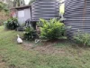 100 Park Reserve Road, Mount Perry, Qld 4671-Image