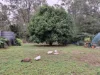 100 Park Reserve Road, Mount Perry, Qld 4671-Image