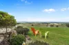 1000 Yan Yean Road, Doreen, Vic 3754-Image