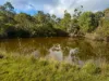 1004 Old Esk Road, Taromeo, Qld 4314-Image